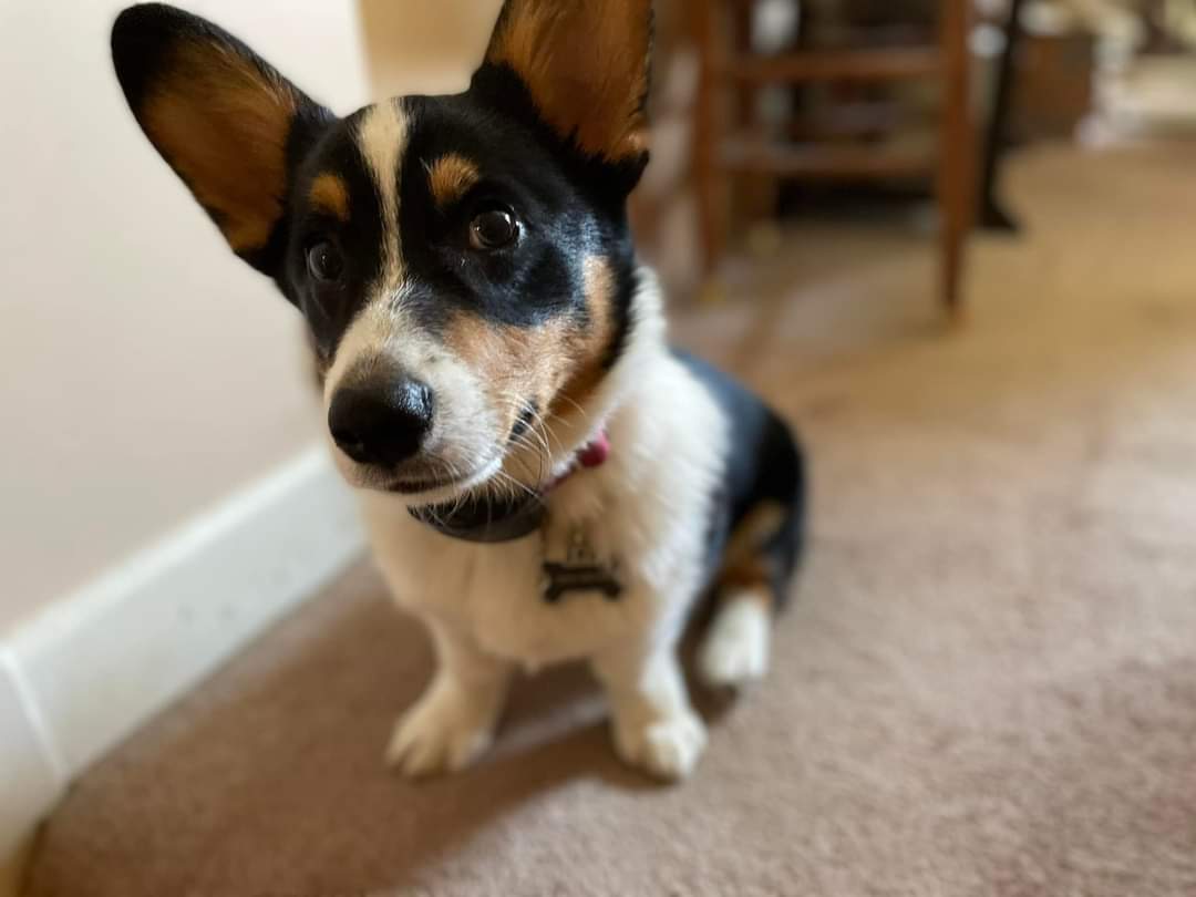 Jeremy
